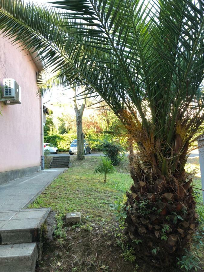 Apartmajsko Naselje Zusterna Apartamento Koper Exterior foto